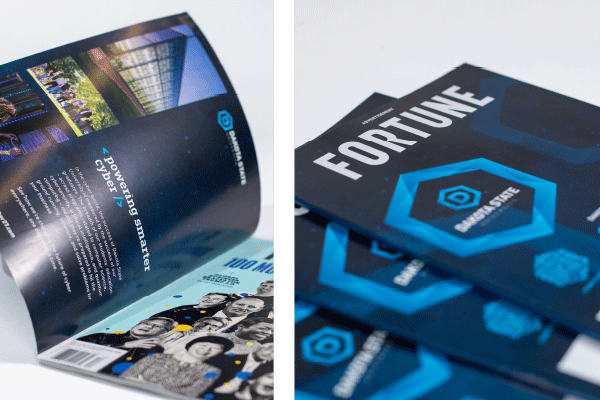 Two pieces of Dakota State materials were presented with advertising awards at the Annual American Advertising Award.
